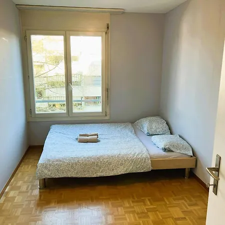Huge Apartments, Multiple Bedrooms With Balcony In Center - Self Checkin * Lucerne